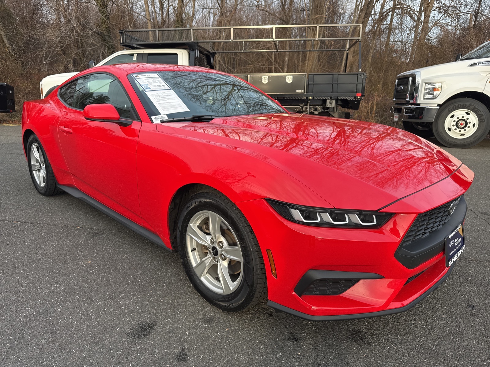 2024 Ford Mustang EcoBoost's photo