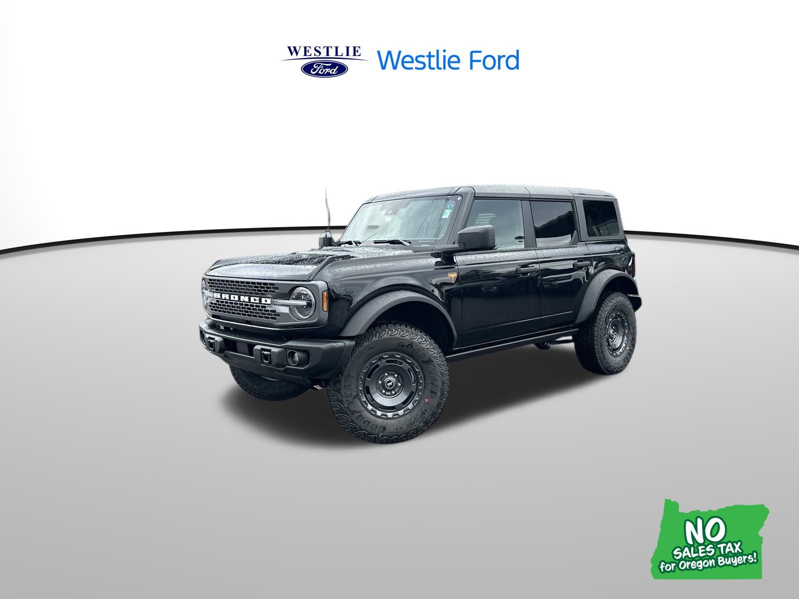 2025 Ford Bronco 4-Door Badlands's photo