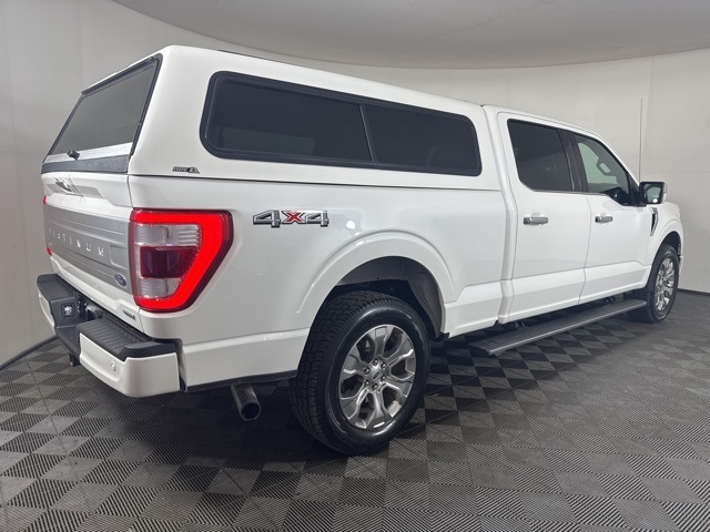 2021 Ford F-150 Platinum photo 3