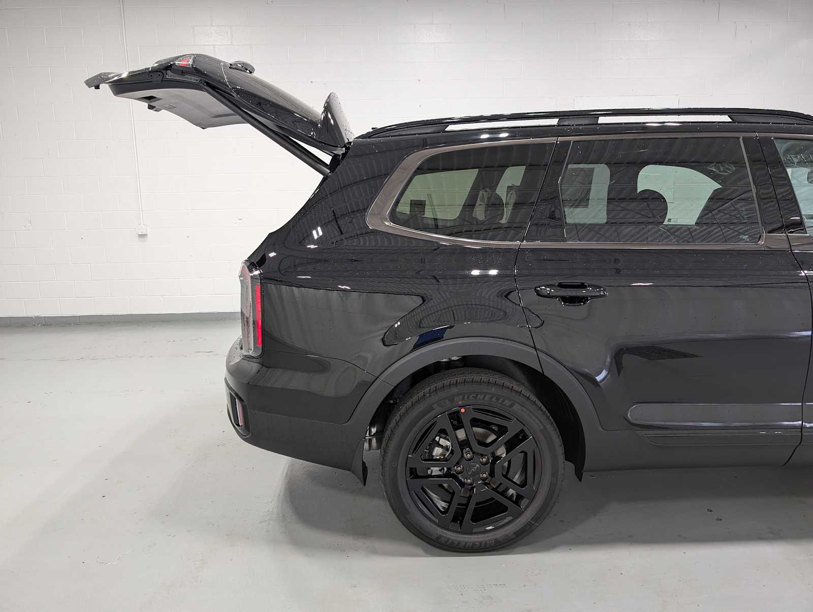 2025 Kia Telluride EX X-Line photo 8