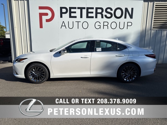 2025 Lexus ES 300h Luxury photo 6