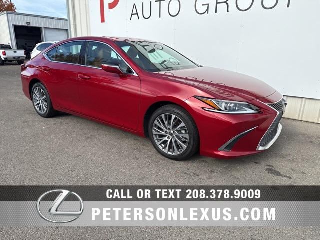 2021 Lexus ES 250's photo