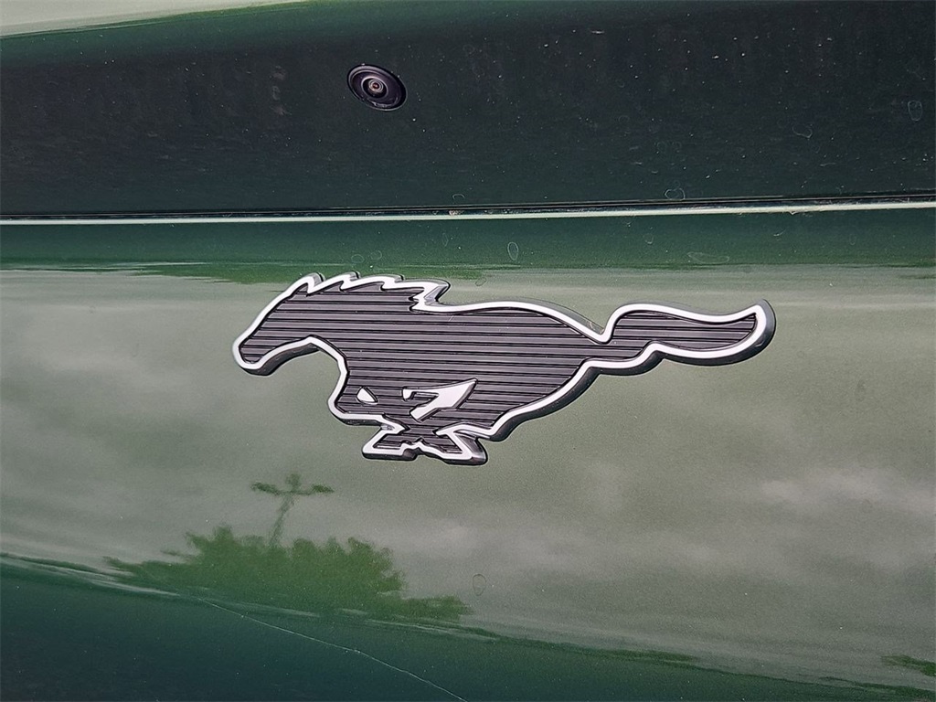 2025 Ford Mustang Mach-E Premium photo 26