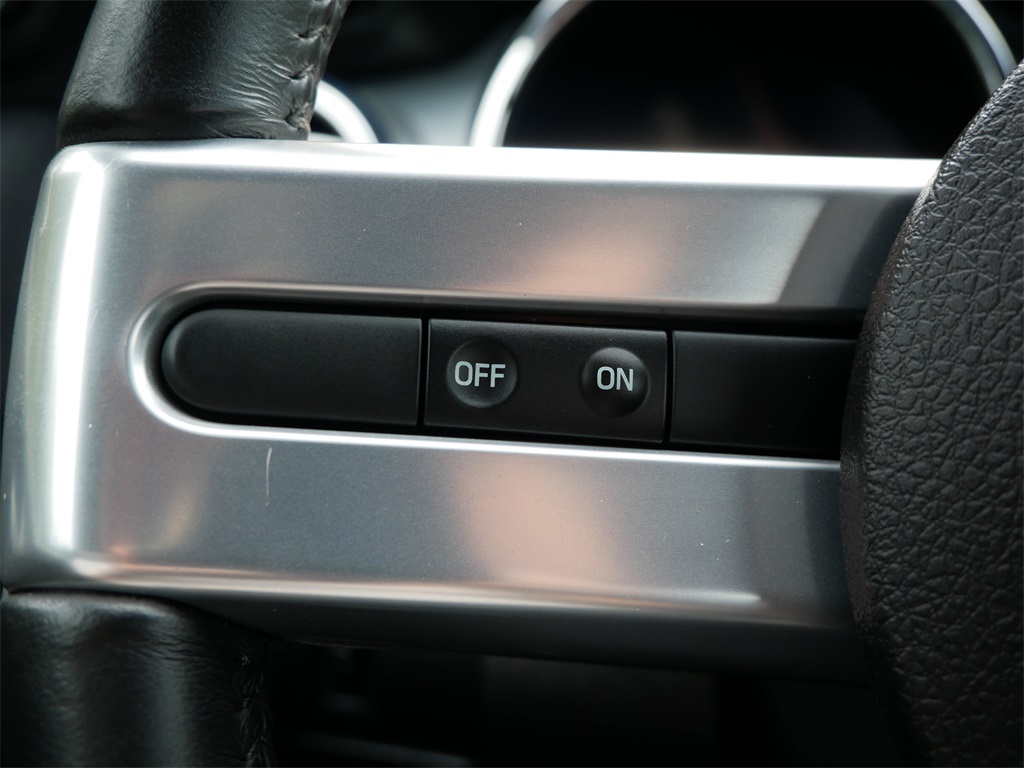 2008 Ford Mustang GT Premium photo 18