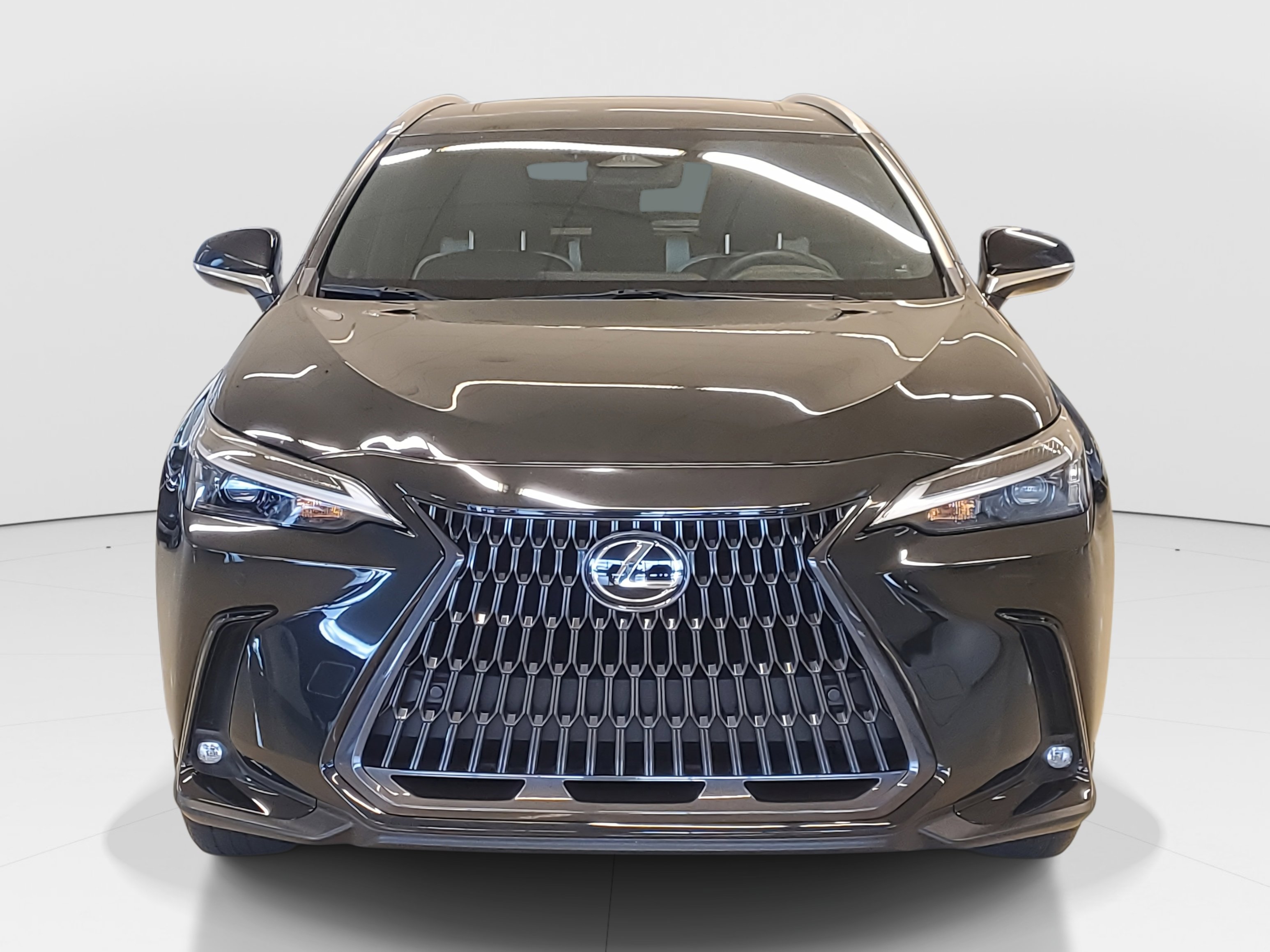 2023 Lexus NX 250 Premium photo 2