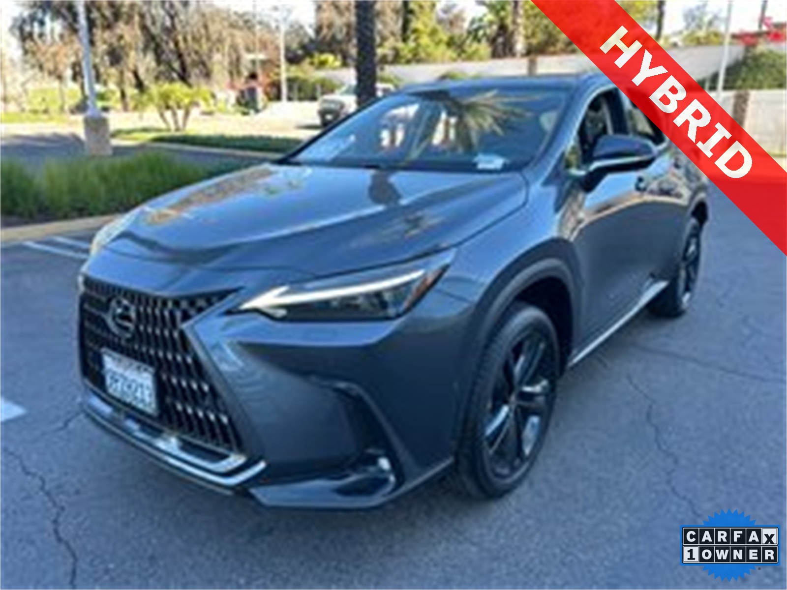 2025 Lexus NX PHEV 450h+'s photo