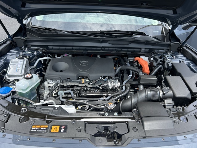 2025 Mazda CX-50 Premium Plus photo 6