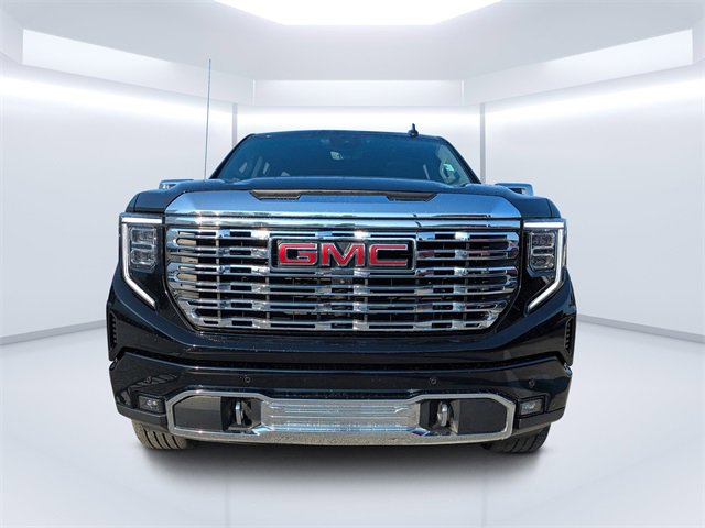 2023 Gmc Sierra 1500 Denali photo 8