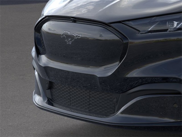 2025 Ford Mustang Mach-E Premium photo 16