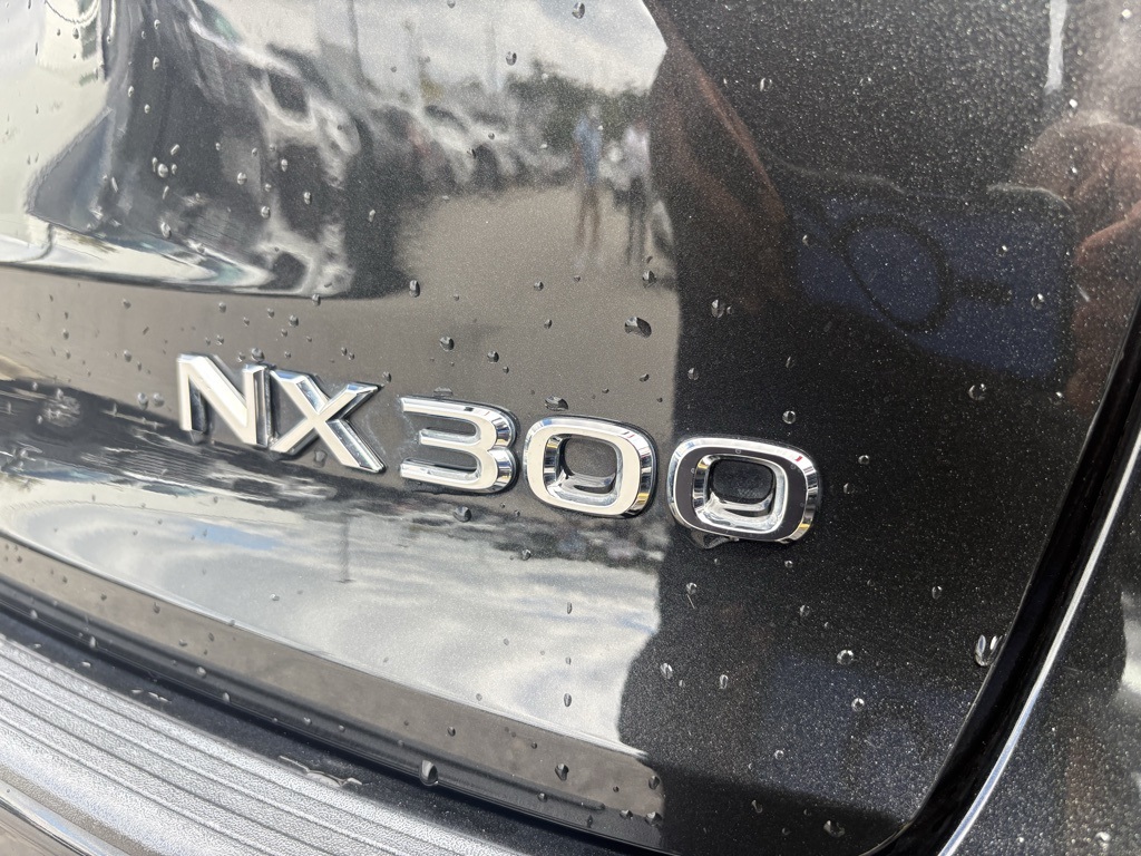 2020 Lexus NX 300 Premium photo 13