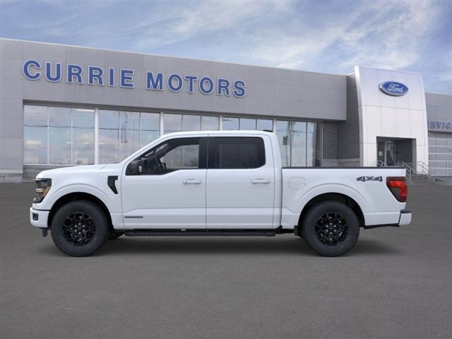 2025 Ford F-150 XLT photo 3