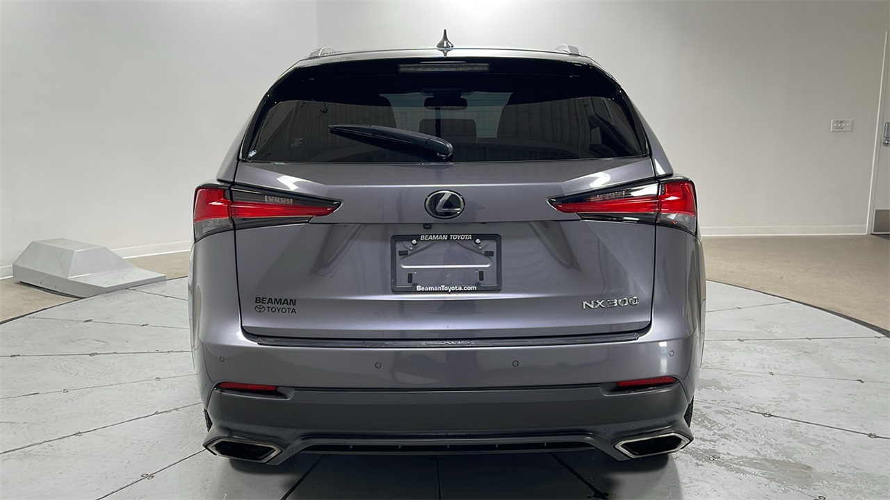 2019 Lexus NX 300 Luxury photo 4