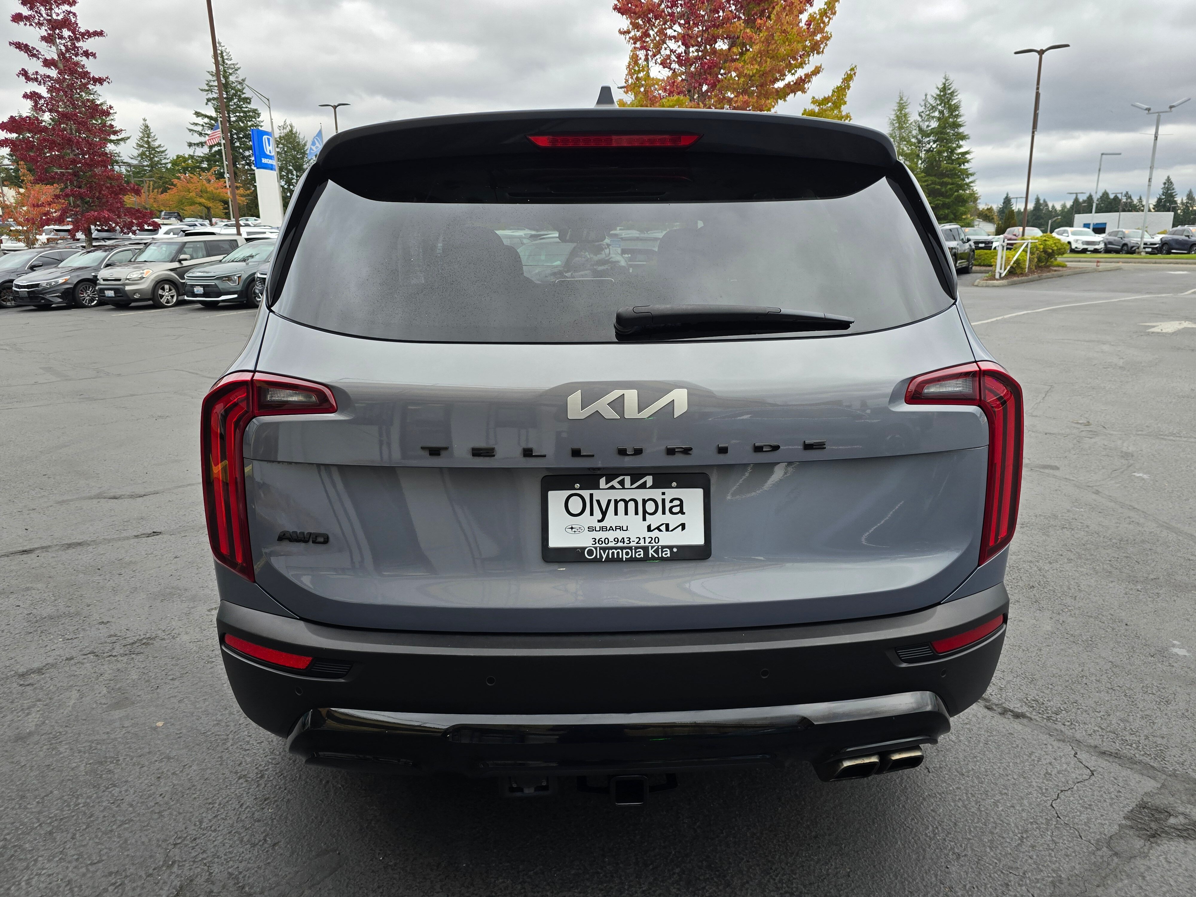 2022 Kia Telluride SX photo 2