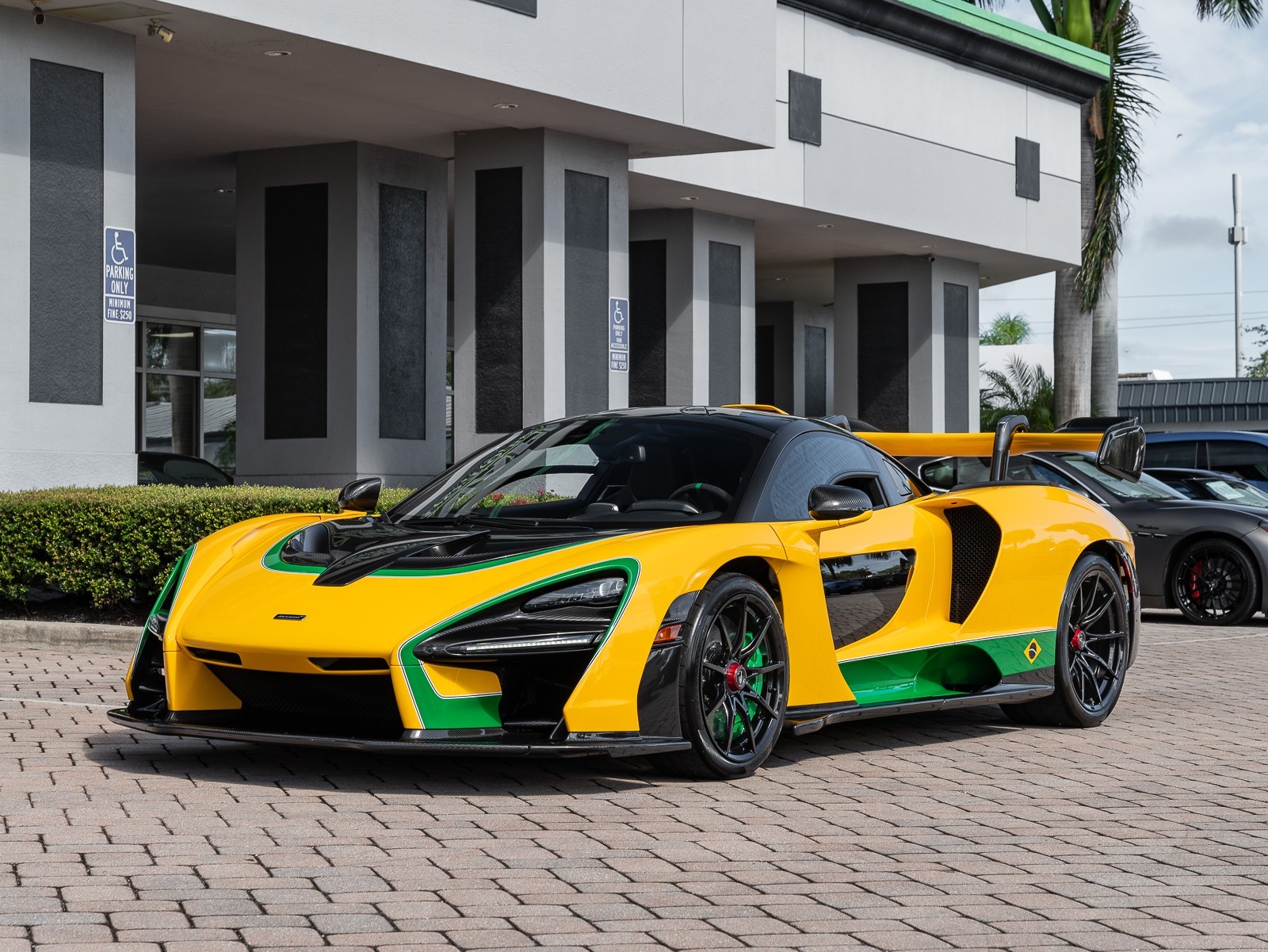 2019 Mclaren SENNA photo 37