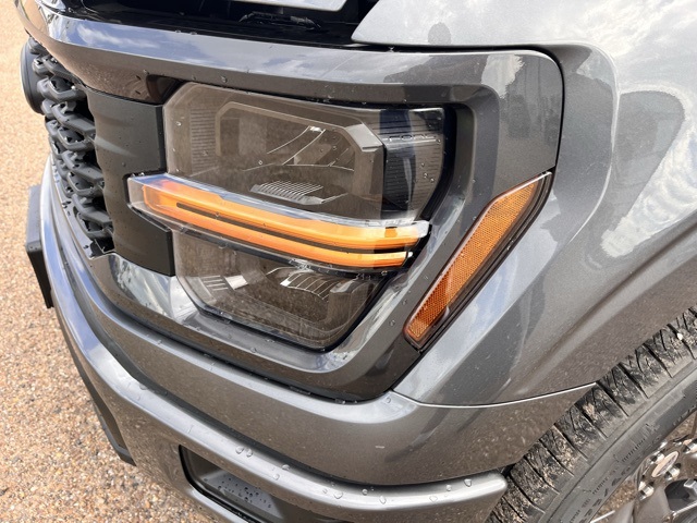 2025 Ford F-150 STX photo 8