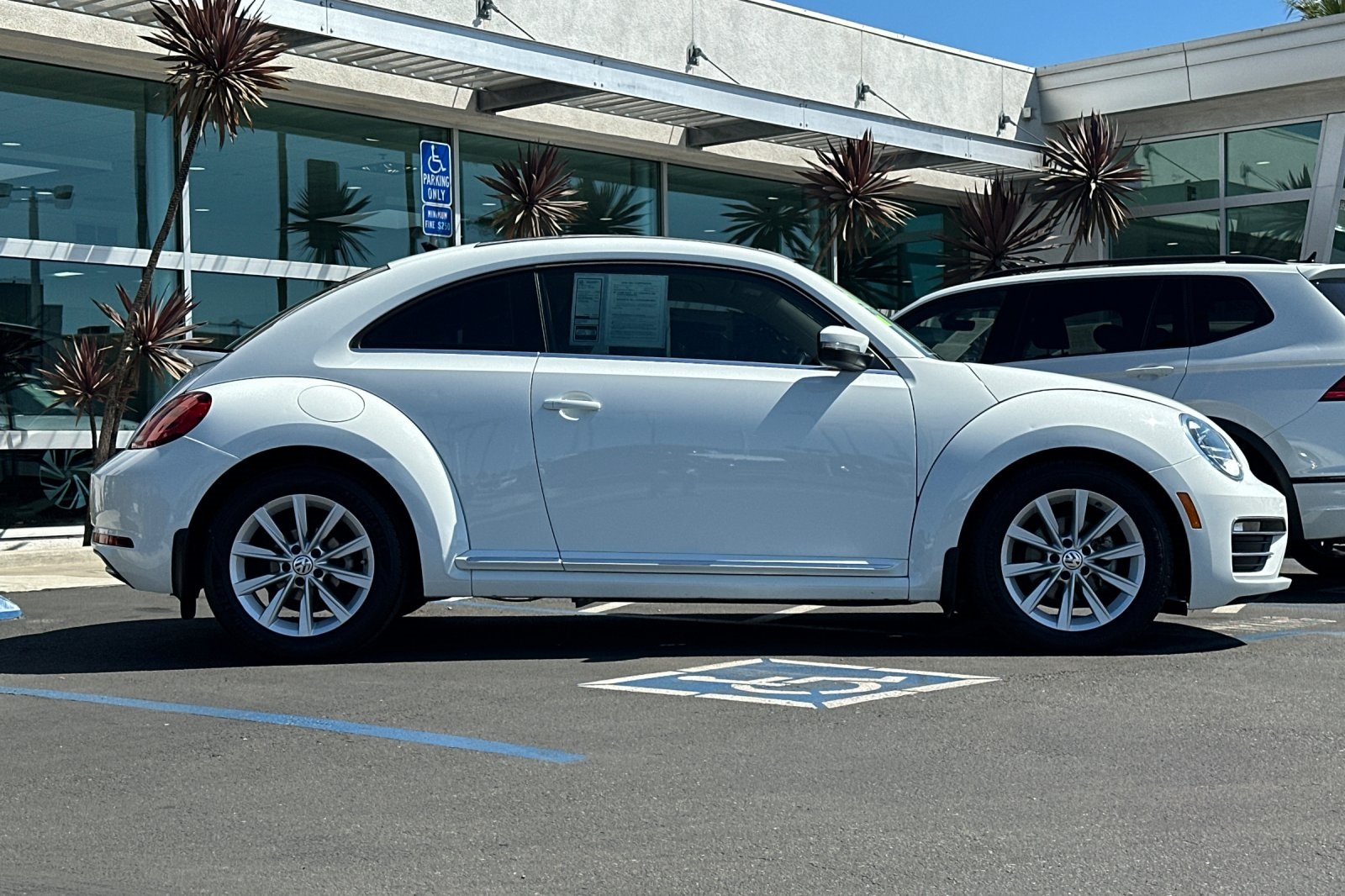 2018 Volkswagen Beetle SE photo 3