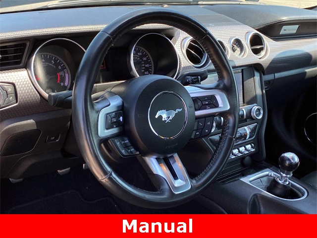 Used 2019 Kona Blue Ford EcoBoost Premium image 9