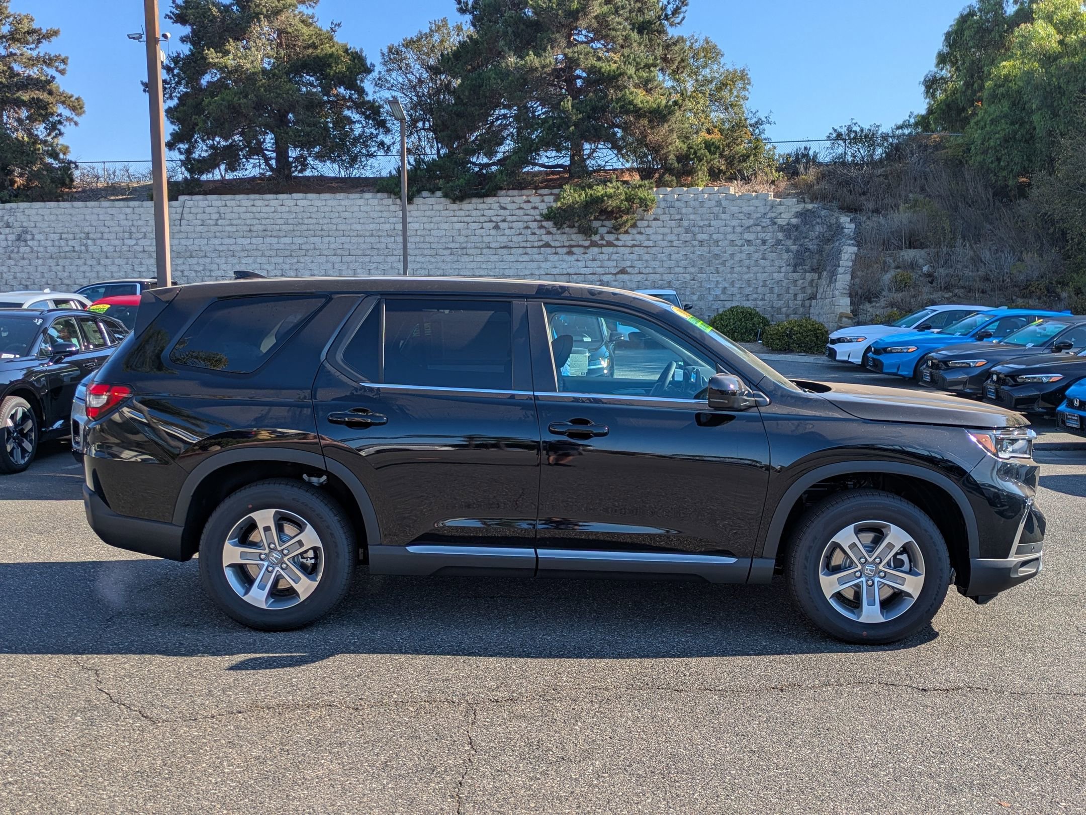 2025 Honda Pilot EX-L photo 6