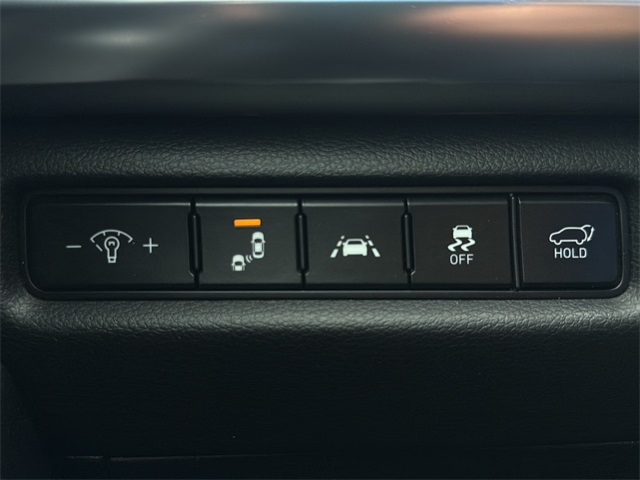 2020 Kia Telluride SX photo 24