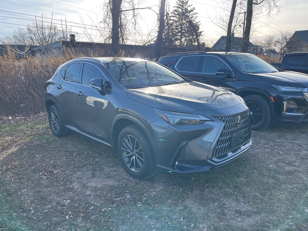 2022 Lexus NX 350's photo