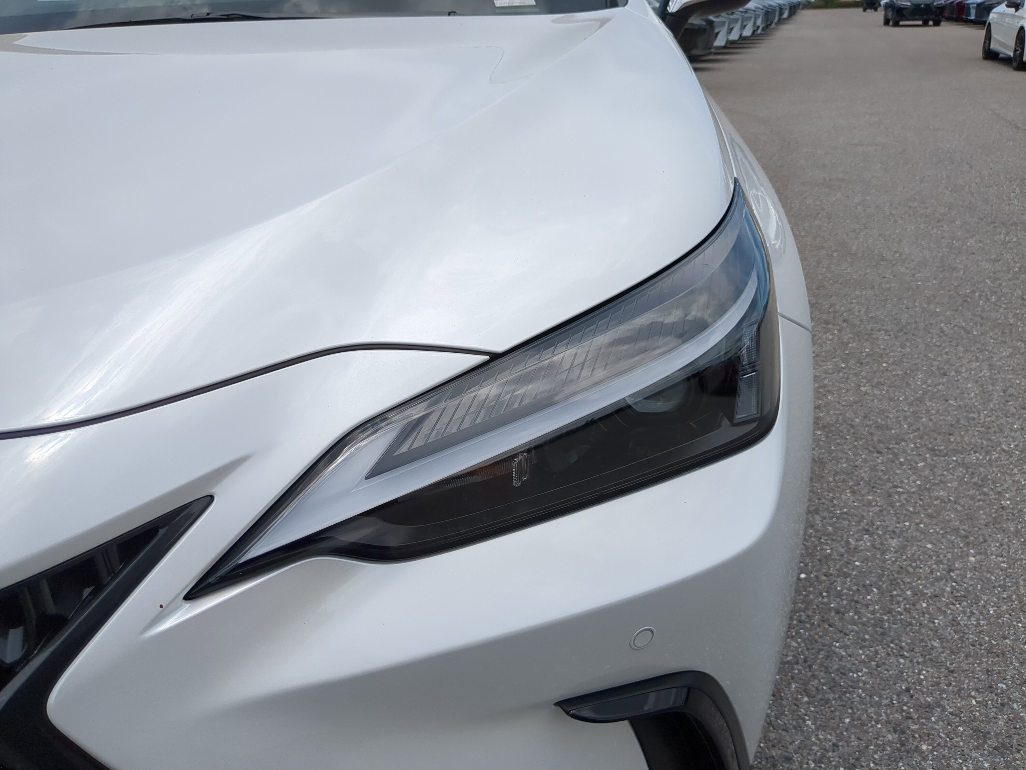 2025 Lexus NX 350h photo 9