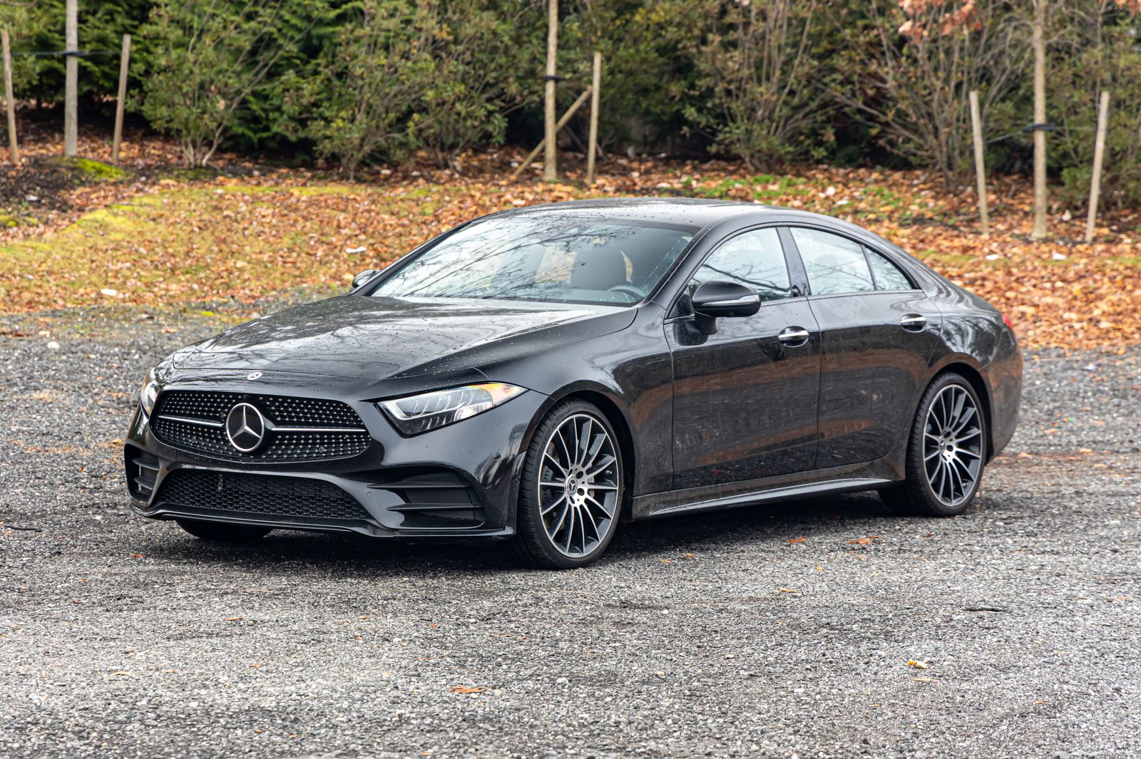 2021 Mercedes-Benz CLS-Class CLS450's photo