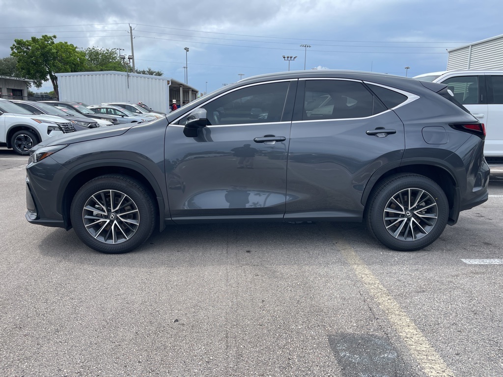 2025 Lexus NX Premium photo 6