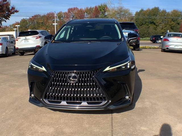 2023 Lexus NX 250 Premium photo 2