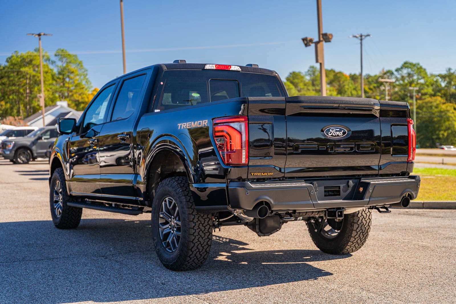 2025 Ford F-150 Tremor photo 4