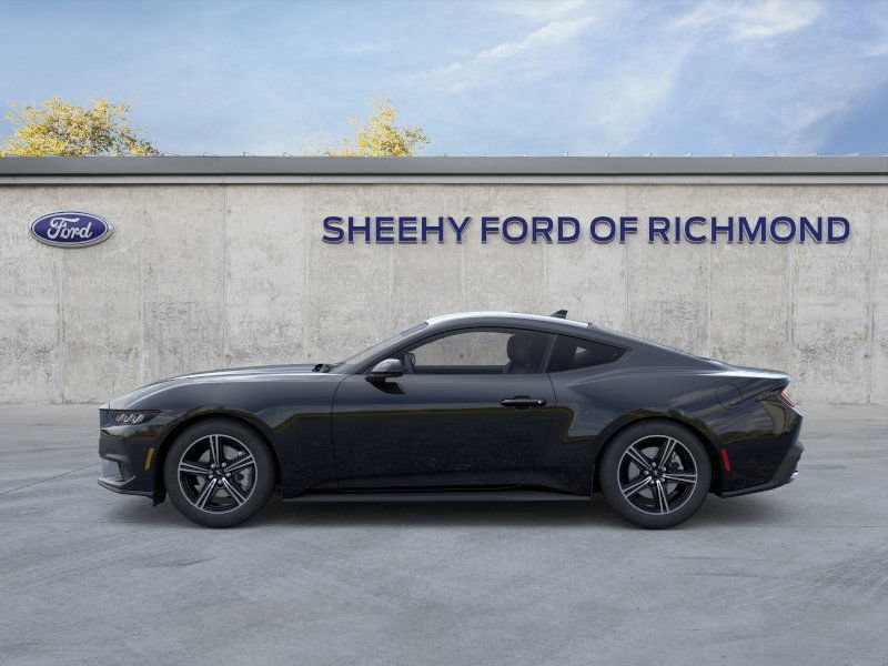 2025 Ford Mustang EcoBoost photo 4