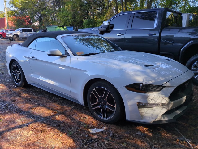 2019 Ford Mustang EcoBoost Premium photo 4