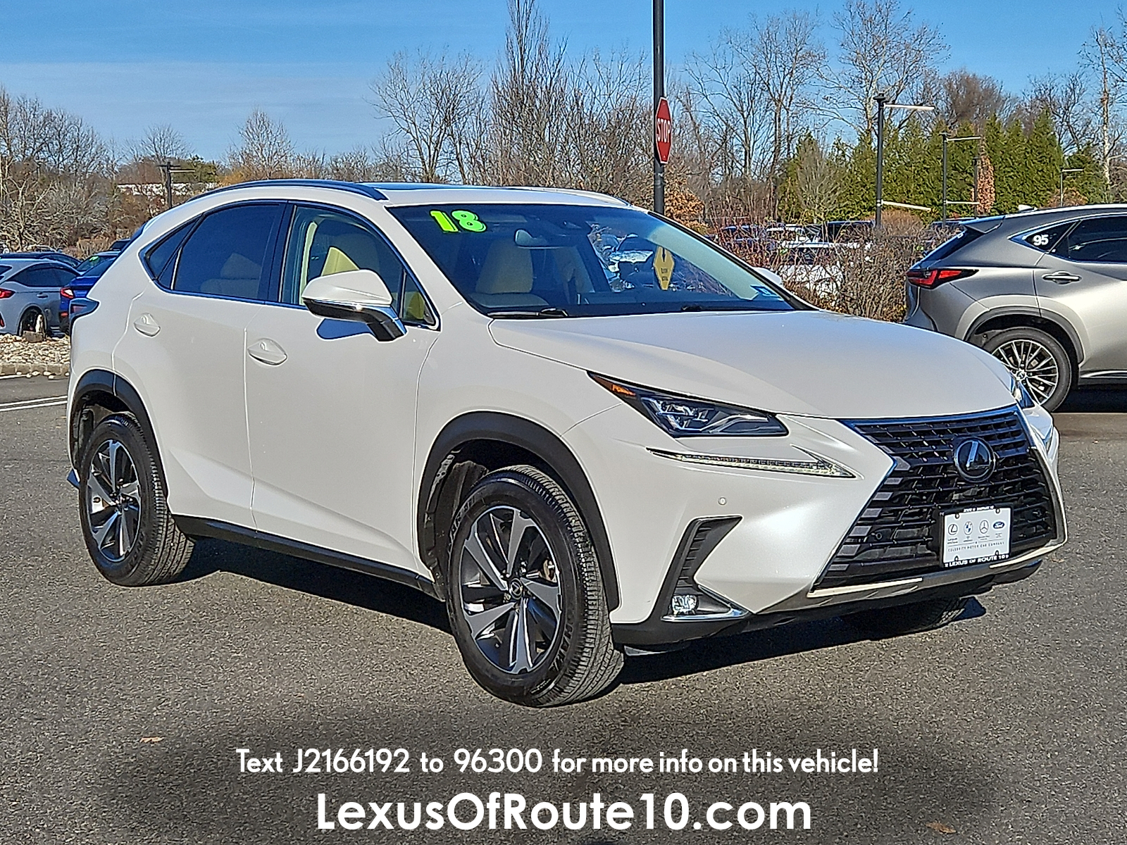 2018 Lexus NX 300's photo
