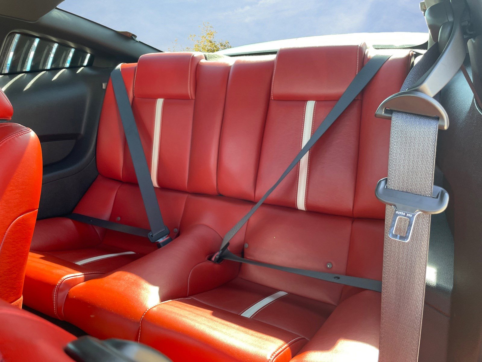 2010 Ford Mustang GT Premium photo 11