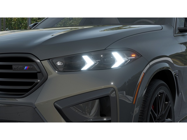 2026 Bmw X6 photo 3