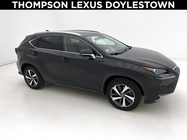 2021 Lexus NX 300's photo