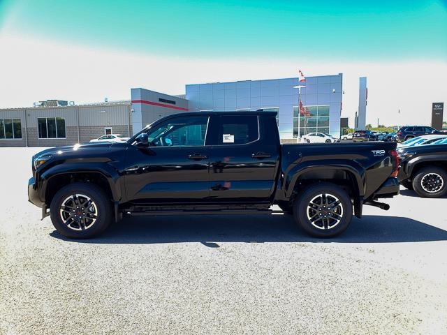 2025 Toyota Tacoma TRD Sport 4x4 Double Cab photo 8