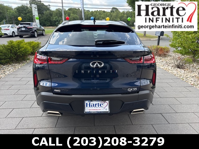 2025 Infiniti QX55 Luxe photo 6