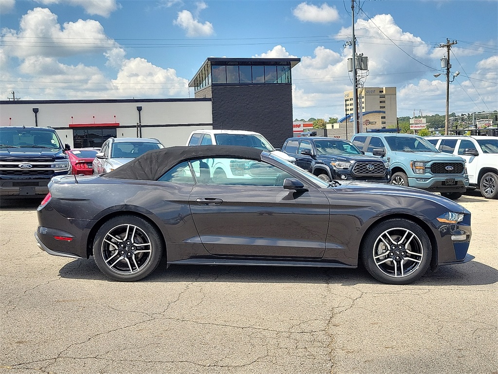 2023 Ford Mustang EcoBoost Premium photo 6