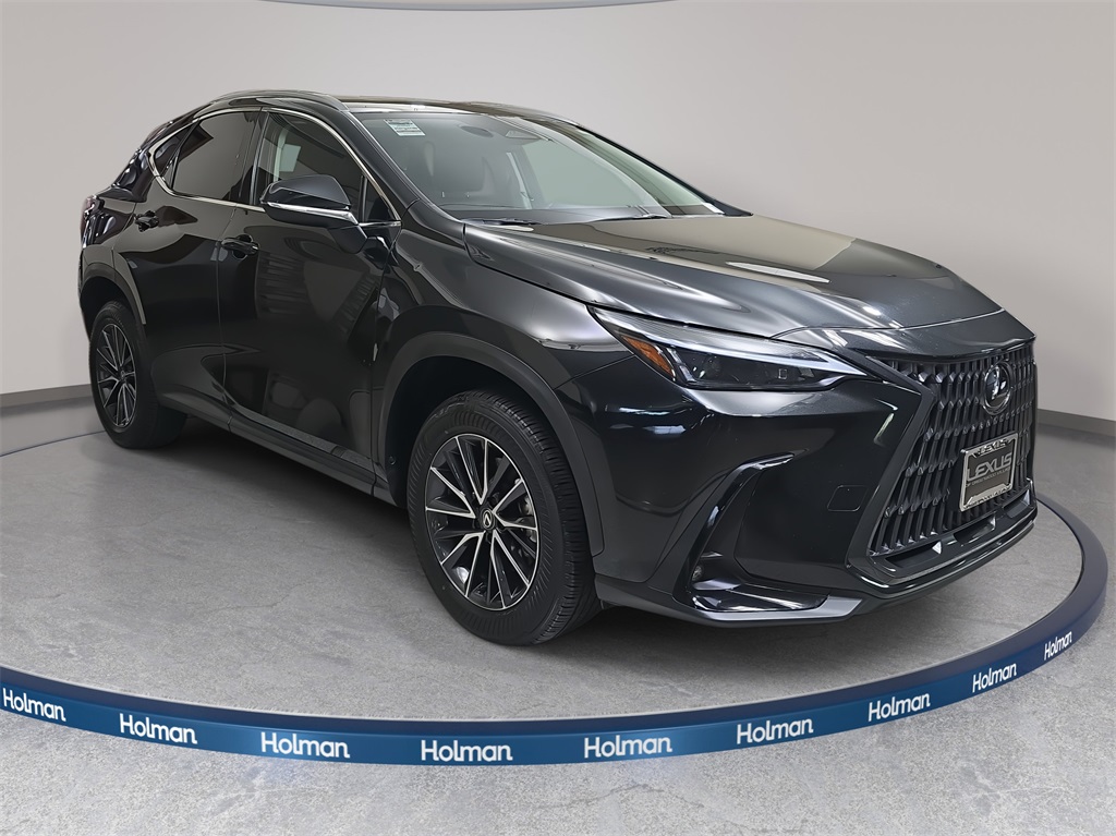 2024 Lexus NX 350h photo 3