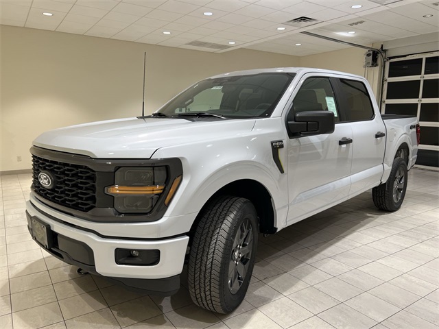 2025 Ford F-150 STX's photo