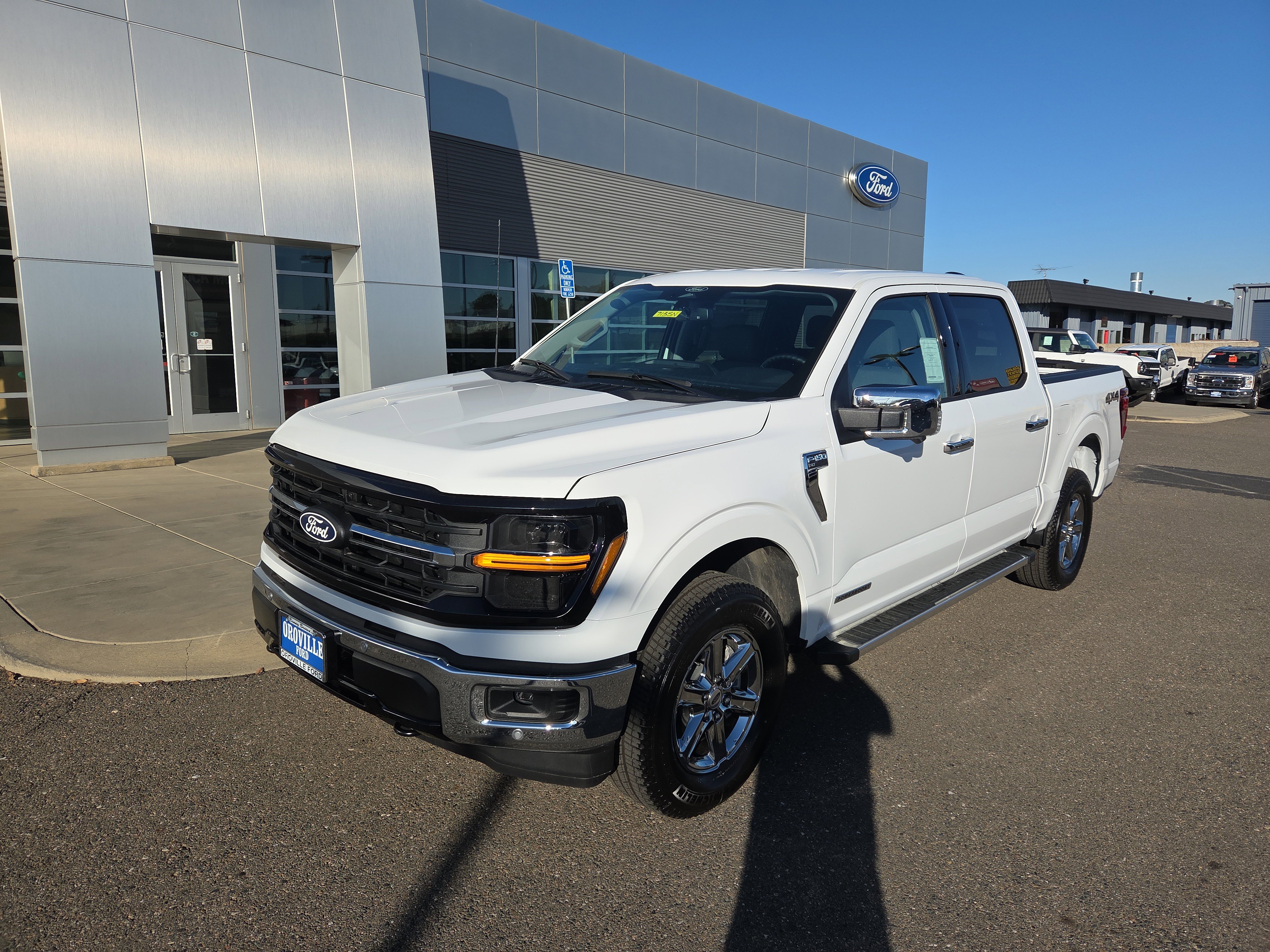 2025 Ford F-150 XLT's photo