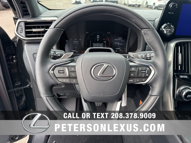 2025 Lexus LX Luxury photo 25