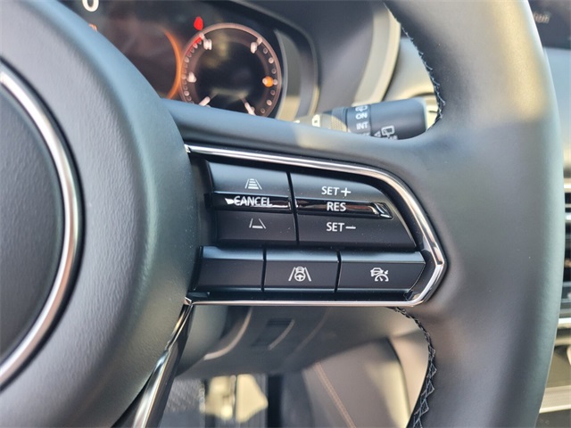 2025 Mazda CX-90 3.3 Turbo Premium Plus photo 27