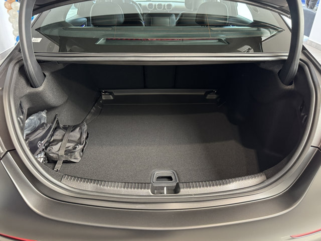2025 Mercedes Benz C 300 photo 3