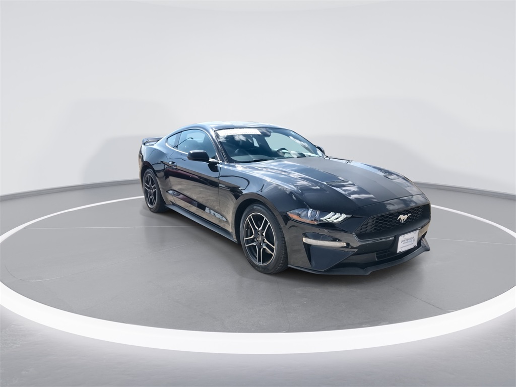 2023 Ford Mustang EcoBoost Premium photo 2