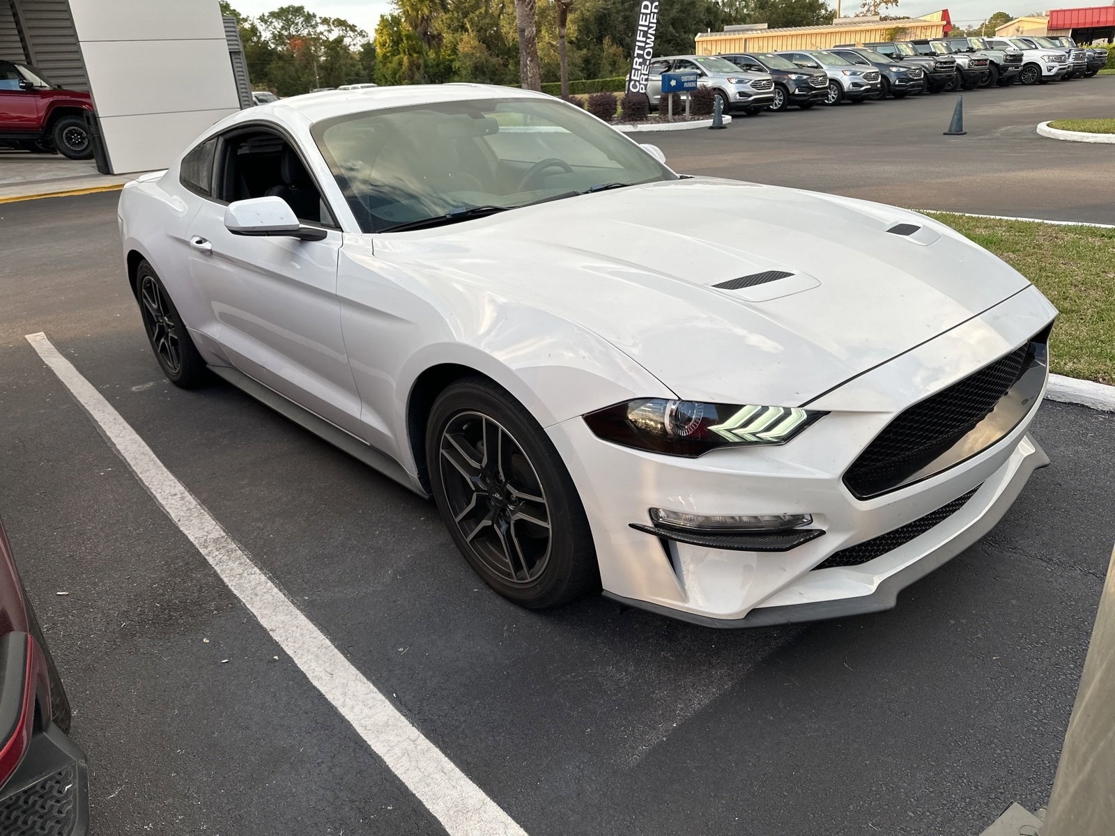 2019 Ford Mustang EcoBoost photo 2