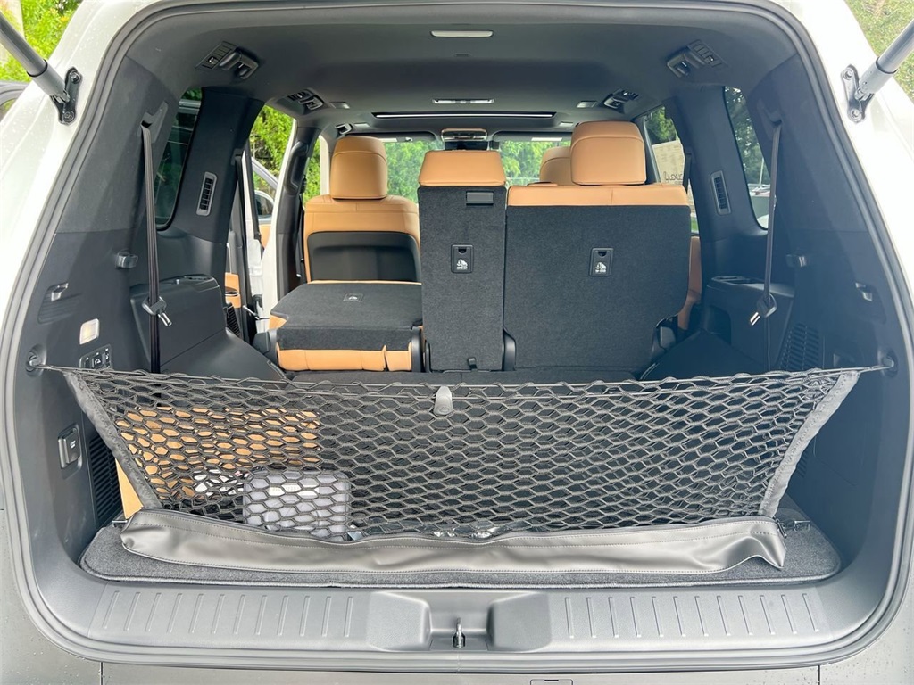 2025 Lexus LX Luxury photo 17