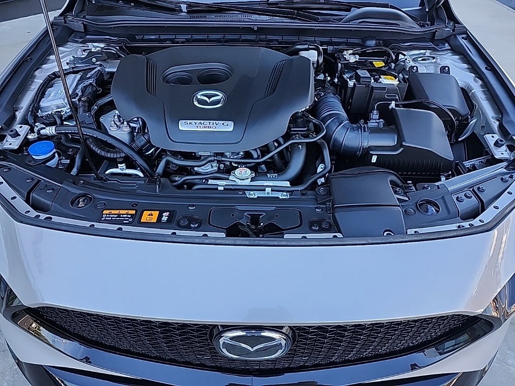 2025 Mazda Mazda3 Hatchback 2.5 Turbo Premium Plus photo 29