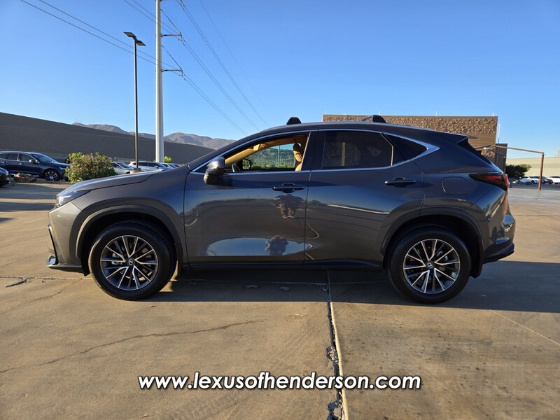 2025 Lexus NX 250 photo 3