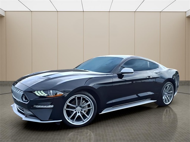 2022 Ford Mustang EcoBoost photo 2